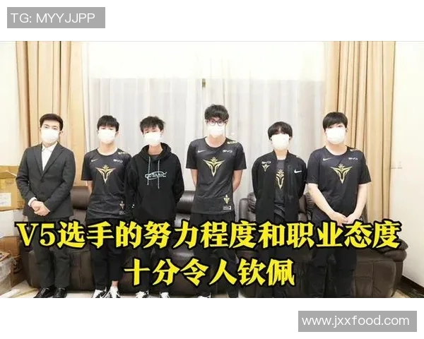 职业联赛中V5选手个人能力表现的全面分析与评价