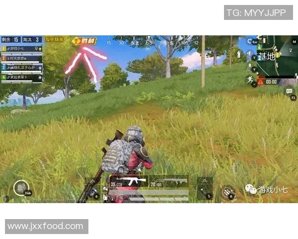 热议和平精英WE耐力变革对游戏平衡与竞技性的深远影响分析