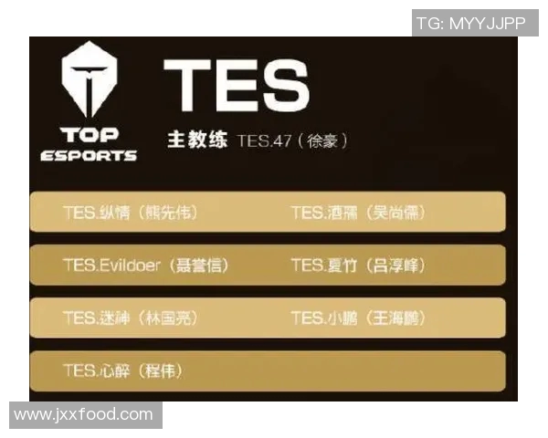 esports数据王者荣耀焦点IG战队比赛经验分析与策略探讨