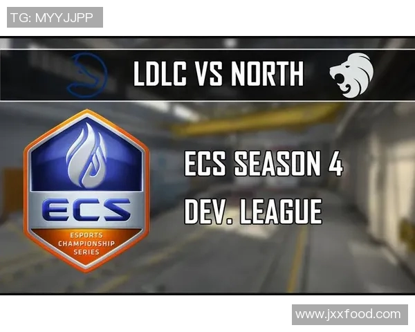 esports数据深入剖析CSGO焦点FPX战队的战术意识与团队配合策略